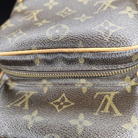 Louis Vuitton Amazone Crossbody Bag - Picture 5 of 14
